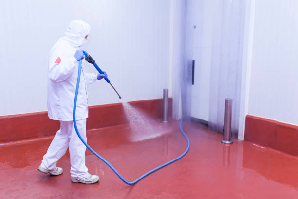 Professional Pressure Washing Services in Mokena, IL